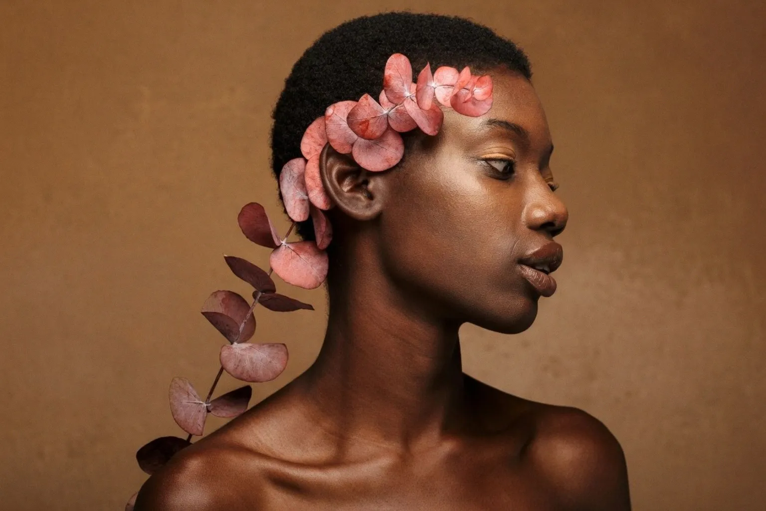 The Shift Toward Clinical Longevity in Premium Body Care